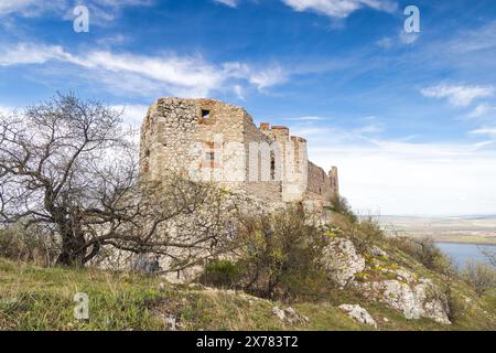 Die Ruinen der Burg Devicky auf den Pavlov-Hügeln in Südmähren, Tschechien, Europa. Stockfoto