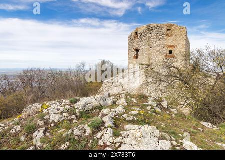 Die Ruinen der Burg Devicky auf den Pavlov-Hügeln in Südmähren, Tschechien, Europa. Stockfoto