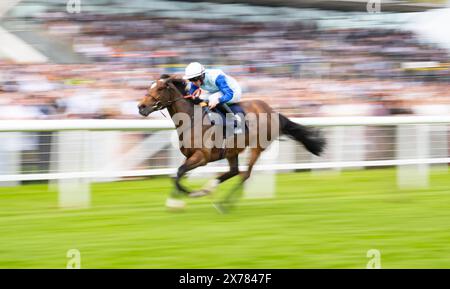 Newbury, Großbritannien, Samstag, 18. Mai 2024; Sonny Liston und Jockey Rossa Ryan gewinnen die OCS Handicap Stakes für Trainer Ralph Beckett und Besitzer Chelsea Thoroughbreds - The Big Bear. Credit JTW equine Images / Alamy. Stockfoto