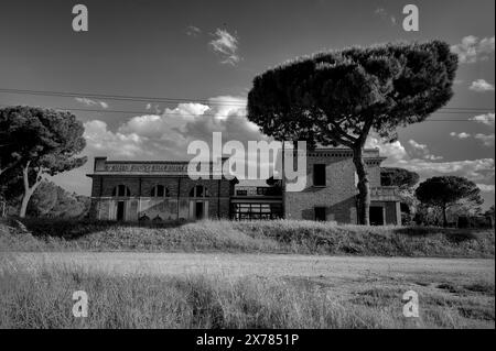 Ein Tag in Pialassa dei Piomboni bei Ravenna, Italien Stockfoto