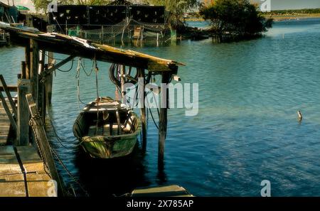 Ein Tag in Pialassa dei Piomboni bei Ravenna, Italien Stockfoto