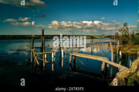 Ein Tag in Pialassa dei Piomboni bei Ravenna, Italien Stockfoto