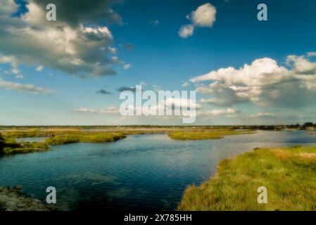 Ein Tag in Pialassa dei Piomboni bei Ravenna, Italien Stockfoto