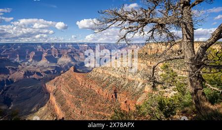 Dramatischer Blick auf den Grand Canyon vom Pipe Creek Vista auf der Desert View Drive am Südrand, Arizona, USA am 28. April 2024 Stockfoto