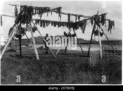 Eskimos in Alaska: Dry Wale Meat, Hooper Bay, dieser Datensatz enthält nicht verifizierte, alte Daten aus der Untertitelkarte., ist Teil von: Edward S. Curtis Collection ., veröffentlicht in: The North American Indian / Edward S. Curtis. Edward S. Curtis, 1907-30, V. 20, nein 92., Nachverfolgung der Bildunterschrift: Lebensmittelverarbeitung; Wale; Geogr.; Eskimos. Stockfoto