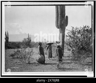 Saguaro Obstsammler Maricopa, Edward S. Curtis Collection. Curtis Nr. 2209–07., veröffentlicht in: The North American Indian / Edward S. Curtis. Edward S. Curtis, 1907-30, suppl., v. 2, pl. 69.. Indianer von Nordamerika, Existenzaktivitäten, Arizona, 1900-1910. Indianer von Nordamerika, Frauen, Arizona, 1900-1910. Maricopa Indians, Frauen, Arizona, 1900-1910. Maricopa-Indianer, Subsistenzwirtschaft, Arizona, 1900-1910. , Cactus, Arizona, 1900-1910. , Lifting & Tragen, Arizona, 1900-1910. Stockfoto