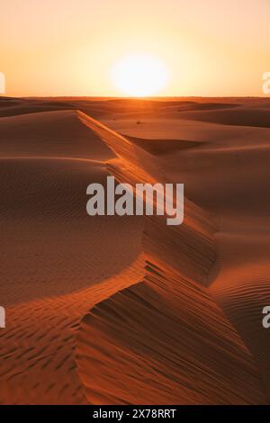 Die Sonne untergeht über Sharqiya Sands, Oman, und offenbart die Textur der windgepeitschten Dünen und wirft ein goldenes Licht Stockfoto