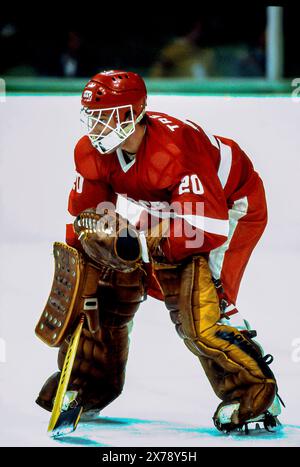 Vladislav Tretiak (URS) Torwart bei den Olympischen Winterspielen 1984 Stockfoto