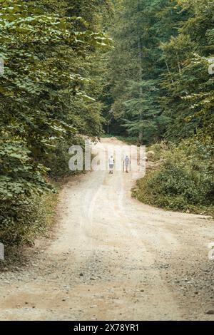 Zwei Wanderer, die auf der Schotterwaldstraße in den Bergen Rumäniens spazieren. Stockfoto