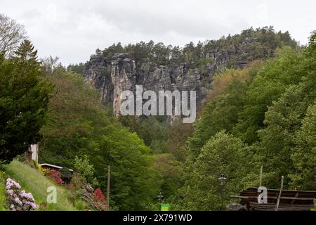 Eine Bergkette mit einem üppig grünen Wald im Vordergrund. Der Himmel ist bewölkt und die Bäume sind voller Blätter Stockfoto