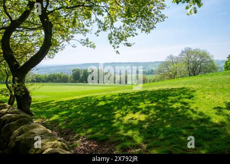 Trockenmauer und Blick auf grüne Felder und Landschaft in Derbyshire, England Stockfoto