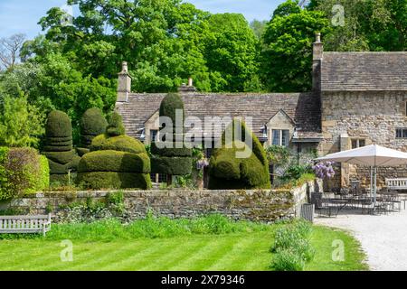 Gartentopiary in Haddon Hall, Derbyshire, England, Großbritannien Stockfoto