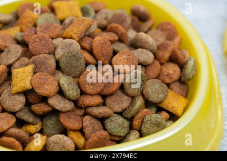 Katzenfutter in der gelben Schüssel Nahaufnahme Stockfoto