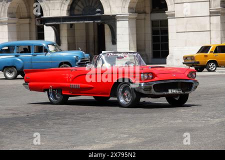 Red 1950er Ford Thunderbird Classic Car, Havanna, Kuba, Karibik. T-Vogel. Stockfoto