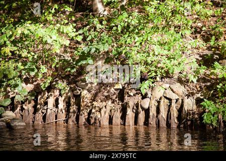 Sommerlandschaft mit einem kleinen Fluss. Fluss fließt und grüne Büsche am Ufer. Horizontal. Stockfoto