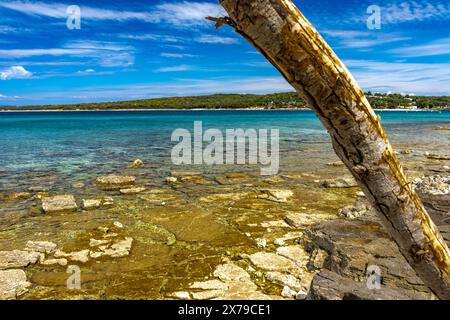 Romantischer Strand in Kroatien, azurblaues Wasser, felsiges Ufer von Rovinj Istrien Stockfoto