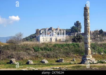 Artemis-Tempel oder Artemision von Ephesus, Ruinen in Ephesus, das größte Tempelgebäude und eines der sieben Weltwunder der Antike, dahinter Stockfoto