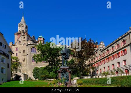 Karl Anton Fürst von Hohenzollern Sigmaringen, vor dem Schloss Hohenzollern, Schloss Sigmaringen, ehemaliger Fürstensitz und Verwaltung Stockfoto