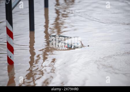 Moselflut, Trier in Rheinland-Pfalz, überfluteter Mülltonne, hoher Wasserstand, Schmutz am Ufer angespült Stockfoto