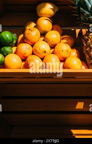 Frische Zitrusfrüchte und Ananas auf Holzständer während des Sonnentages Stockfoto