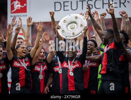 Leverkusen, Deutschland. Mai 2024. JEREMIE Frimpong (Leverkusen) mit Meisterschale, Amine Adli (Leverkusen) Nathan Tella (Leverkusen) Bayer Leverkus Stockfoto