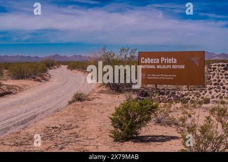 Cabeza Prieta National Wildlife Refuge, El Camino Del Diablo Road, Bates Well Road, Orgel Pipe Cactus National Monument, Arizona. Stockfoto