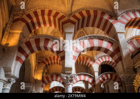 Bögen und Säulen, die große Moschee und die Kathedrale von Cordoba, UNESCO-Weltkulturerbe, Cordoba, Spanien Stockfoto