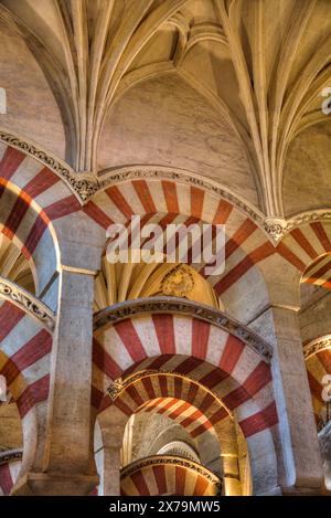 Bögen und Säulen, die große Moschee und die Kathedrale von Cordoba, UNESCO-Weltkulturerbe, Cordoba, Spanien Stockfoto