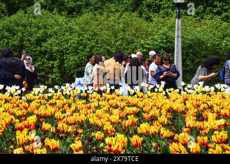 Ottawa, Kanada - 18. Mai 2024: Die Menschen genießen das jährliche Tulpenfestival in Ottawa. Das Festival ehrt die Spende von Tulpen aus den Niederlanden an Kanada Stockfoto