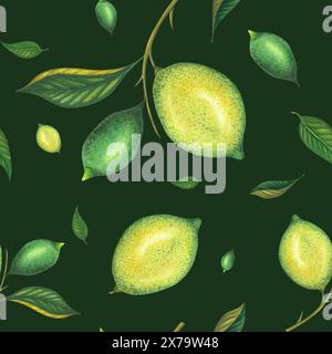 Aquarell nahtloses Limettenmuster mit grünen Zitronen und Limettenzweig mit Blättern. Handgemalte gelbe Früchte isoliert auf dunklem Hintergrund. Frische Zitrusfrüchte Stockfoto
