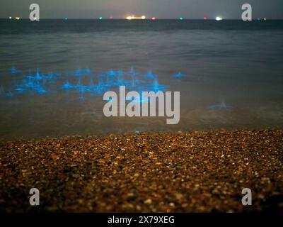 Sheerness, Kent, Großbritannien. Mai 2024. Wetter in Großbritannien: Atemberaubend lebendige, leuchtend blaue Biolumineszenz, die heute Abend am Sheerness Beach in Kent zu sehen ist - die Farbe entsteht, wenn biolumineszierendes Plankton gestört wird. Bilder zeigen Wellen und Steine, die ins Meer geworfen wurden. Quelle: James Bell/Alamy Live News Stockfoto