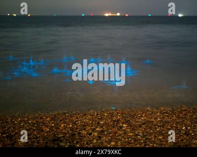 Sheerness, Kent, Großbritannien. Mai 2024. Wetter in Großbritannien: Atemberaubend lebendige, leuchtend blaue Biolumineszenz, die heute Abend am Sheerness Beach in Kent zu sehen ist - die Farbe entsteht, wenn biolumineszierendes Plankton gestört wird. Bilder zeigen Wellen und Steine, die ins Meer geworfen wurden. Quelle: James Bell/Alamy Live News Stockfoto