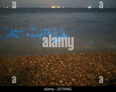 Sheerness, Kent, Großbritannien. Mai 2024. Wetter in Großbritannien: Atemberaubend lebendige, leuchtend blaue Biolumineszenz, die heute Abend am Sheerness Beach in Kent zu sehen ist - die Farbe entsteht, wenn biolumineszierendes Plankton gestört wird. Bilder zeigen Wellen und Steine, die ins Meer geworfen wurden. Quelle: James Bell/Alamy Live News Stockfoto