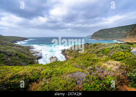 Blick auf die Küste von Maingon Bay von Lookout, Maingon Bay Tasman Peninsula, Tasmanien Stockfoto