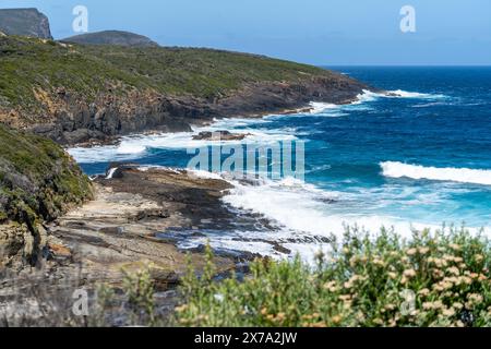 Blick auf die Küste von Maingon Bay von Lookout, Maingon Bay Tasman Peninsula, Tasmanien Stockfoto