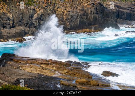 Blick auf die Küste von Maingon Bay von Lookout, Maingon Bay Tasman Peninsula, Tasmanien Stockfoto