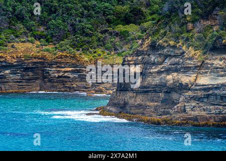 Blick auf die Küste von Maingon Bay von Lookout, Maingon Bay Tasman Peninsula, Tasmanien Stockfoto