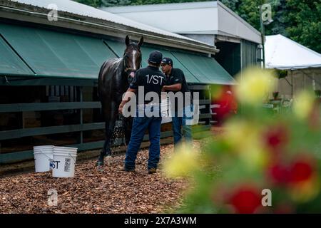 Baltimore, Usa. Mai 2024. Just Steel wird am Samstag, den 18. Mai 2024, nach den 149. Preakness Stakes auf dem Pimlico Race Course in Baltimore, Maryland, gebadet. Foto: Bonnie Cash/UPI Credit: UPI/Alamy Live News Stockfoto