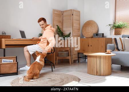 Rothaariger junger Mann mit Laptop und süßem Corgi-Hund, der zu Hause arbeitet Stockfoto