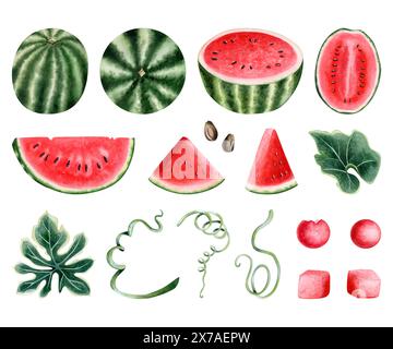 Frische rote und grüne Wassermelone mit Beeren, Scheiben, Samen, Blättern und Eiskugeln. Aquarellillustration mit Früchten Stockfoto