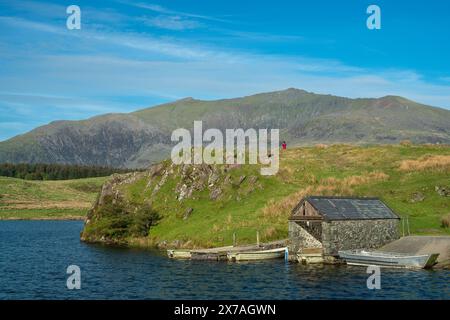 Eine nicht identifizierbare Frau mit roter Jacke, die ein Foto von Yr Wyddfa aus Llyn y Dywarchen im Eryri-Nationalpark in Wales macht. Stockfoto