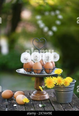 Handgemachte osterdekoration mit Löwenzahn- Blumen in Eierschalenvasen. Gartendekorationskonzept. Rustikaler Stil. Kopierbereich. Stockfoto