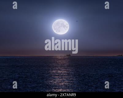 Die Silhouette des Fischerbootes wird durch das Licht des Vollmondes in einem klaren Nachthimmel mit Möwen beleuchtet. Lila Lichter am Horizont. Mondlicht i Stockfoto