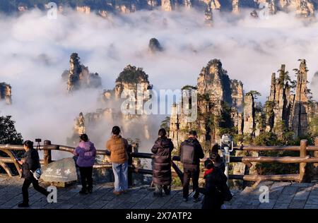 (240519) -- CHANGSHA, 19. Mai 2024 (Xinhua) -- Touristen besuchen am 3. Januar 2024 den Zhangjiajie National Forest Park in Zhangjiajie, Zentralchinas Provinz Hunan. Zhangjiajie, im Nordwesten der Provinz Hunan gelegen, ist eines der Weltnaturerbestätten in China. Die atemberaubende Naturlandschaft zieht Touristen weltweit an und zieht Extremsportler an, um ihr Können unter Beweis zu stellen. YE Zhengwu, ein 25-jähriger Mountainbiker, wurde in Zhangjiajie geboren und aufgewachsen. Schon in jungen Jahren entwickelte er eine Leidenschaft für Radfahren. 2015, während seines Studiums an der Universität, begegnete er Down Stockfoto