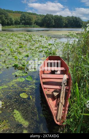 Ein altes Fischerboot, das am Schilfufer des Southern Bug River in der Ukraine vor Anker liegt. Stockfoto