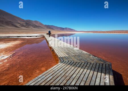 Salzwasser Pool in den Salinas Grandes Salzsee - Jujuy, Argentinien. Ungewöhnliche natürliche Landschaften. Stockfoto