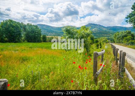 Landschaft. Pinilla del Valle, Provinz Madrid, Spanien. Stockfoto