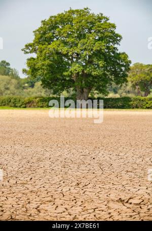 Trockener und gerissener Boden auf einem Feld im ländlichen Worcestershire bei trockenem Wetter Stockfoto