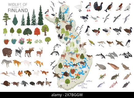 Isomatrisches 3D-Design der finnischen Tierwelt. Finnische Tiere, Vögel und Pflanzen, die auf weißem Set isoliert sind. Erstellen Sie Ihre eigenen geografischen Informationen Stock Vektor