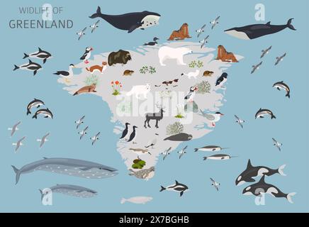 Grönländische Geographie. Gestaltung der grönländischen Tierwelt. Tiere, Vögel und Pflanzen, die auf weißem Set isoliert sind. Vektorabbildung Stock Vektor